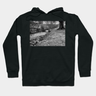 River bridge in the Dutch city of Maastricht Hoodie